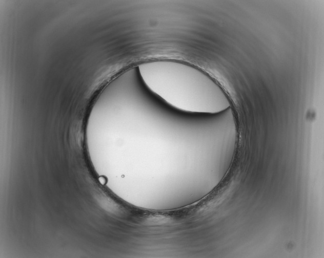 X0000102350397200808010940