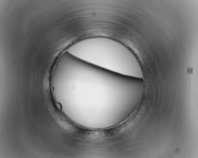 X0000102350398200808010940