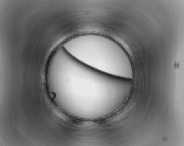 X0000102350399200808010940