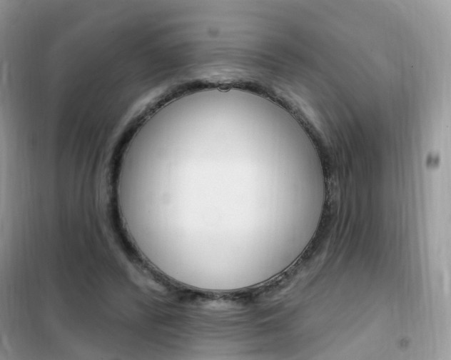 X0000102350400200808010940