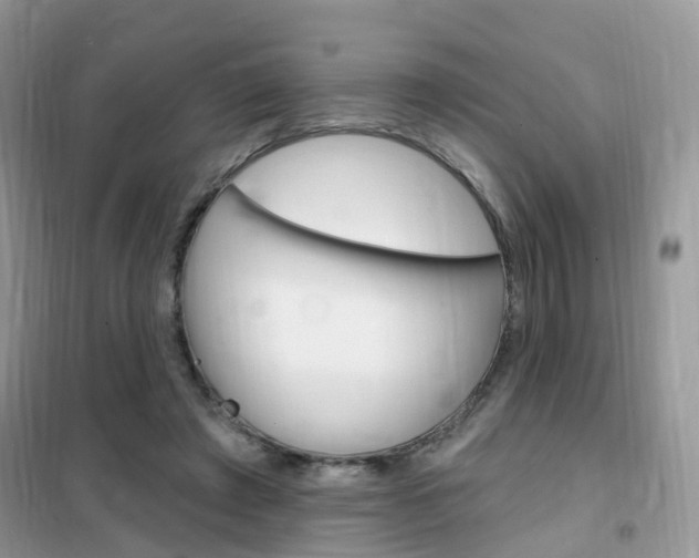 X0000102350401200808010940