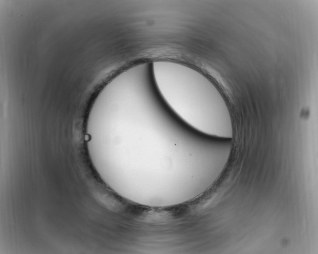 X0000102350403200808010940