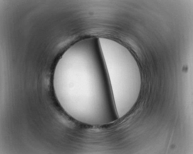 X0000102350404200808010940