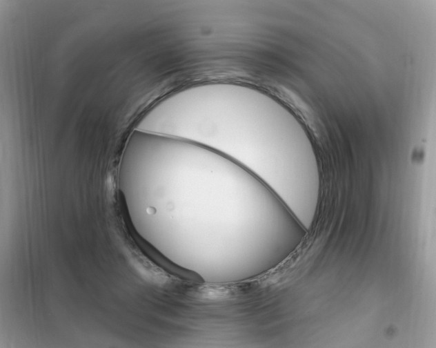 X0000102350405200808010940
