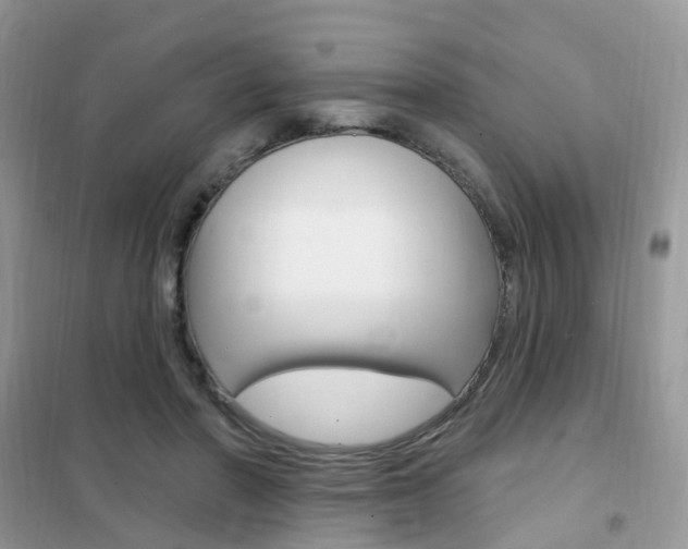 X0000102350406200808010940