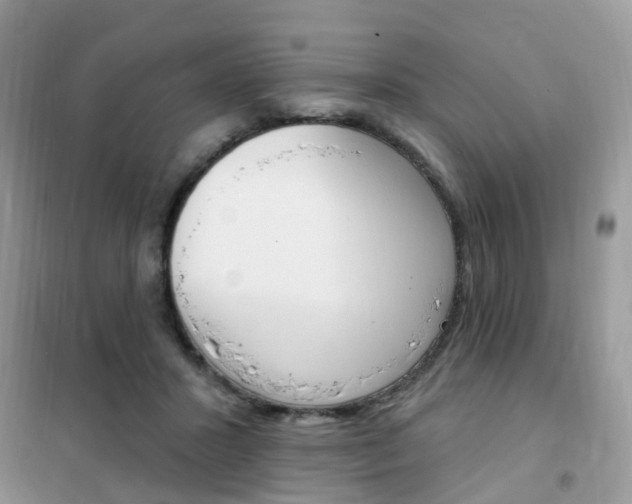 X0000102350407200808010940