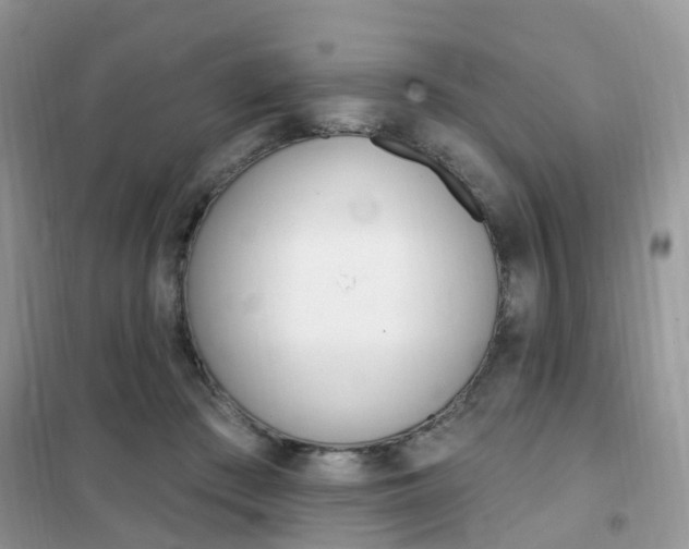 X0000102350409200808010940