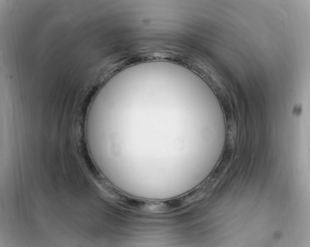 X0000102350410200808010940