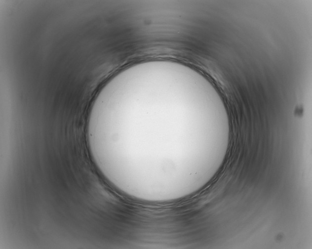 X0000102350411200808010940