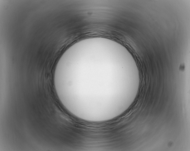 X0000102350412200808010940