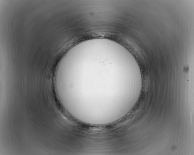X0000102350414200808010940