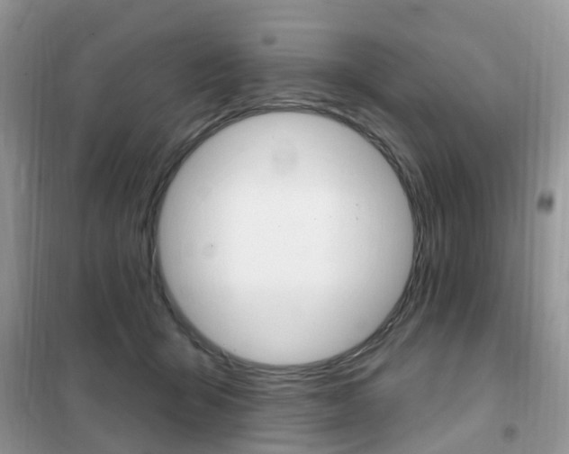 X0000102350415200808010940