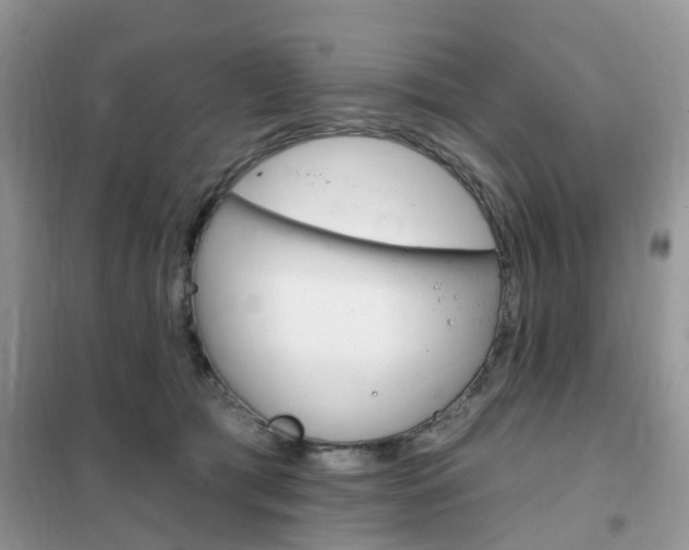 X0000102350417200808010940