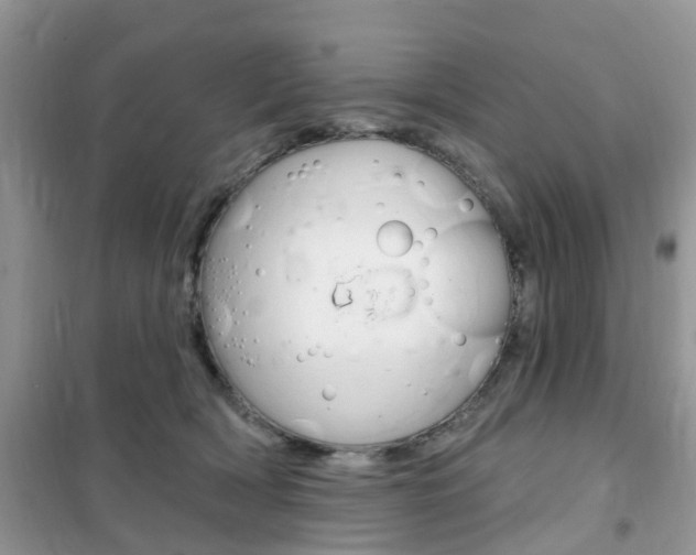 X0000102350418200808010940