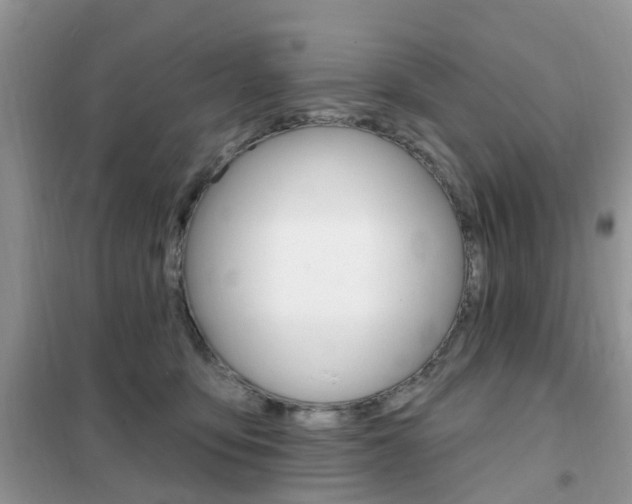 X0000102350419200808010940