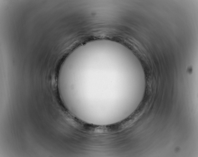X0000102350420200808010940
