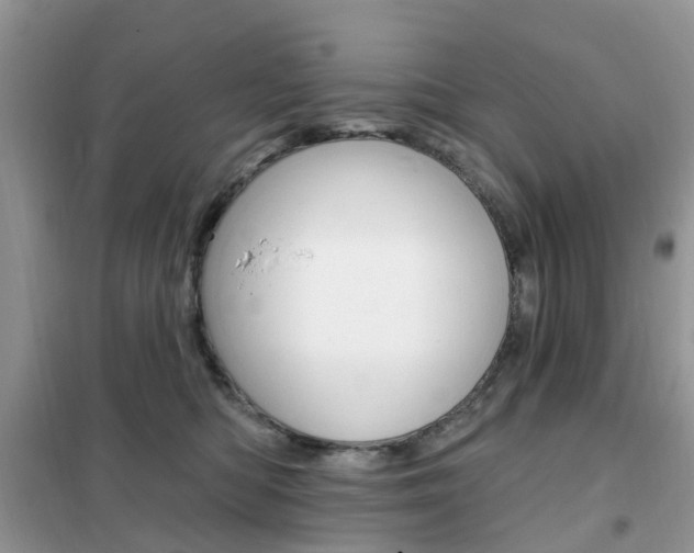 X0000102350422200808010940