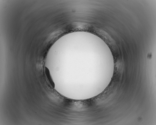 X0000102350423200808010940