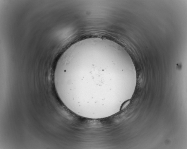 X0000102350424200808010940