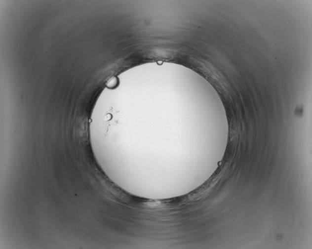 X0000102350425200808010940