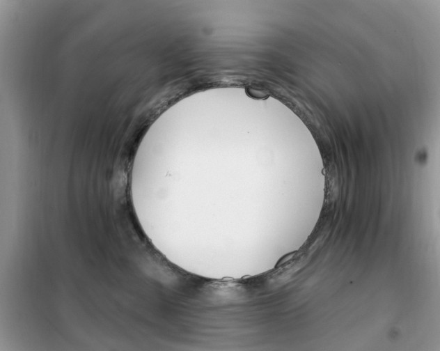 X0000102350427200808010940