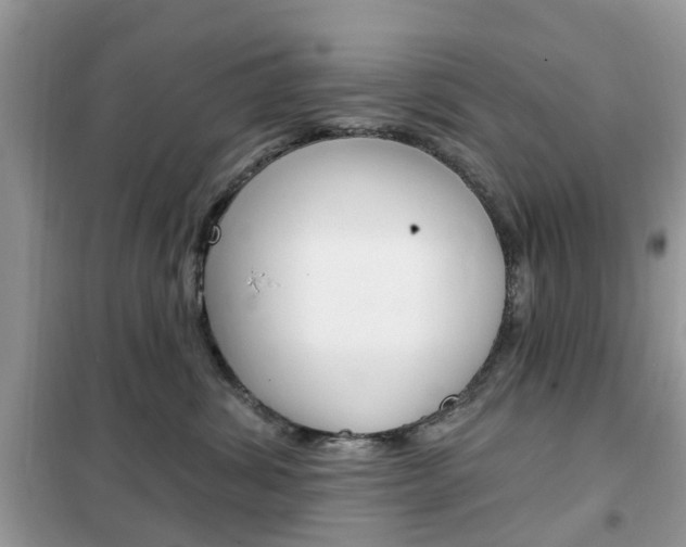 X0000102350428200808010940