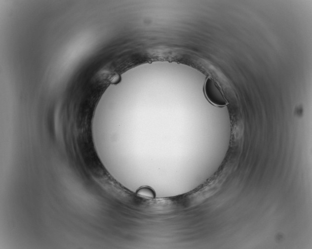 X0000102350429200808010940