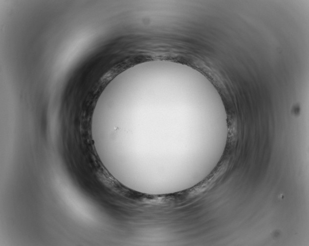 X0000102350430200808010940