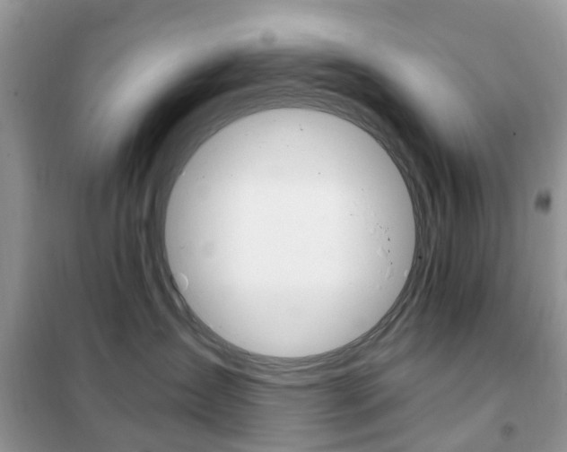 X0000102350431200808010940