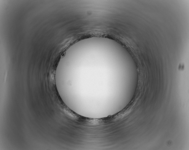 X0000102350432200808010940