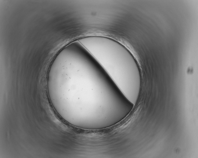 X0000102350433200808010939