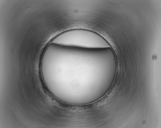 X0000102350434200808010939
