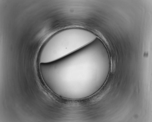 X0000102350435200808010939