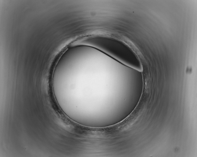 X0000102350436200808010939