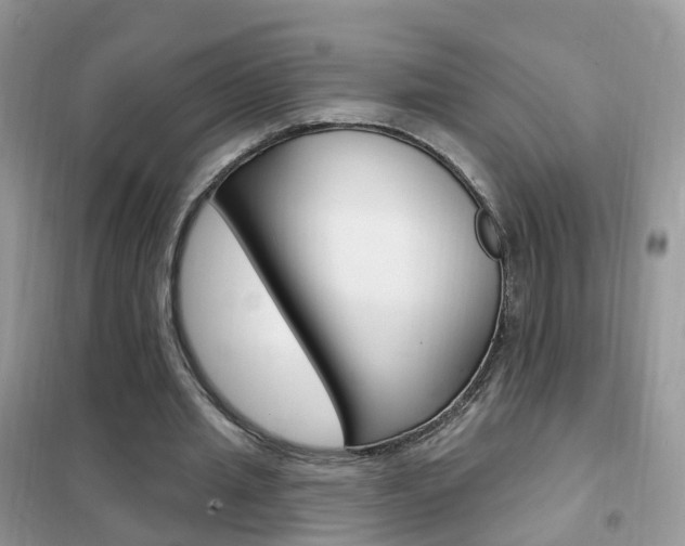 X0000102350437200808010939
