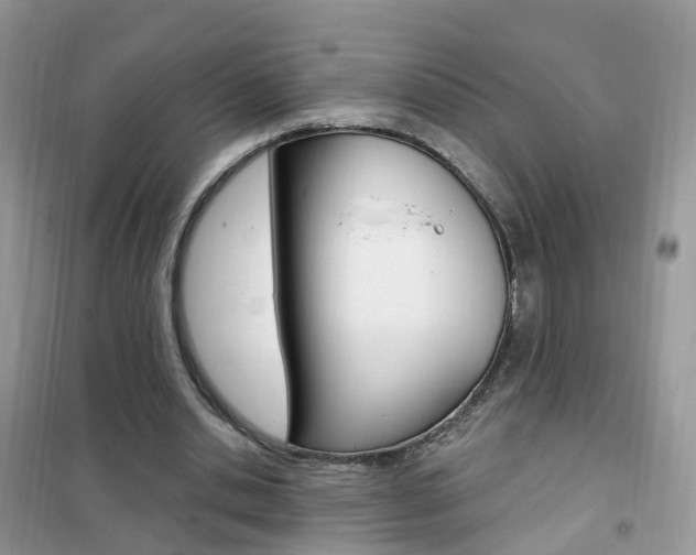 X0000102350438200808010939