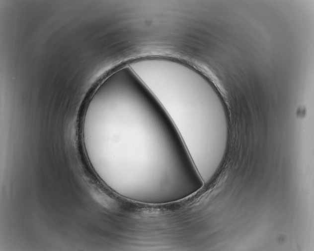 X0000102350439200808010939