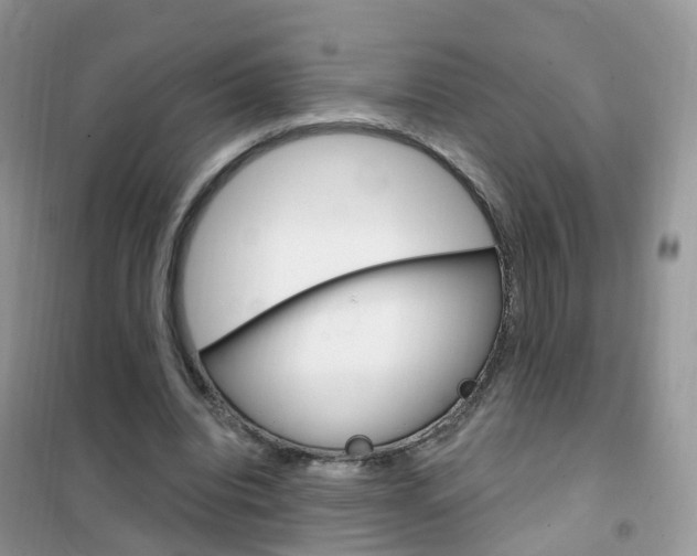 X0000102350440200808010939