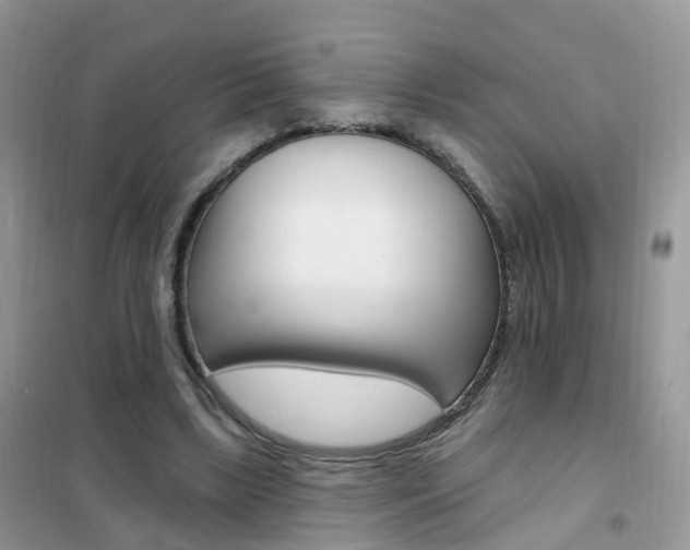 X0000102350443200808010939