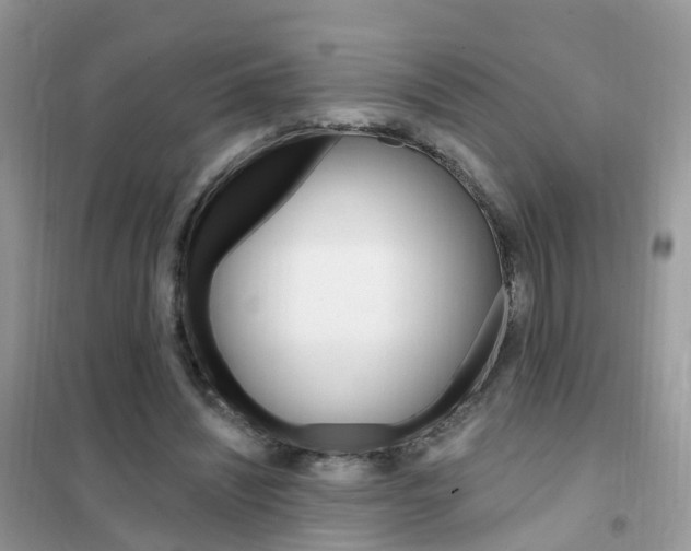 X0000102350444200808010939