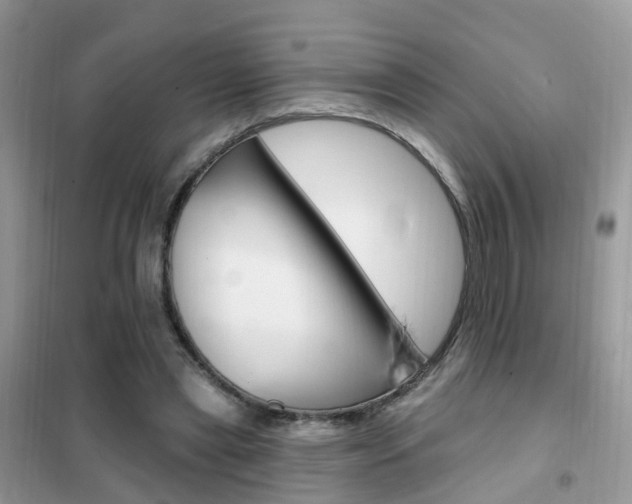 X0000102350445200808010939
