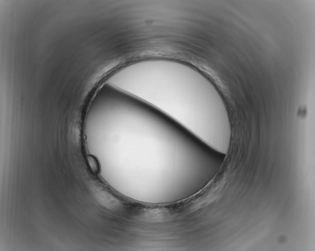 X0000102350446200808010939