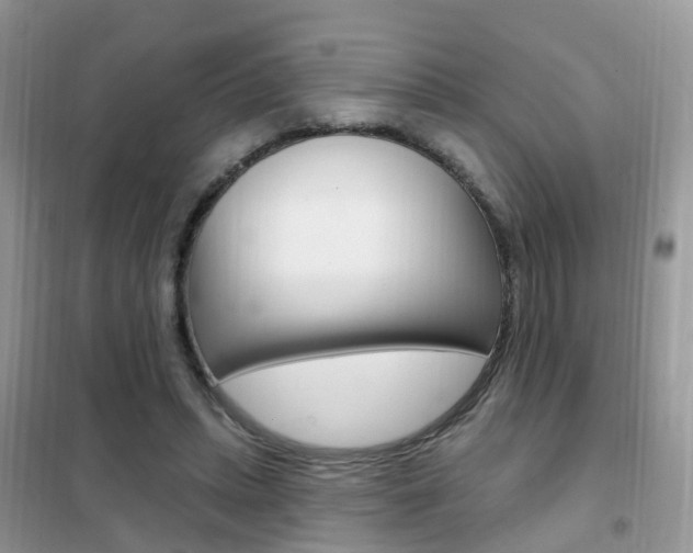 X0000102350447200808010939