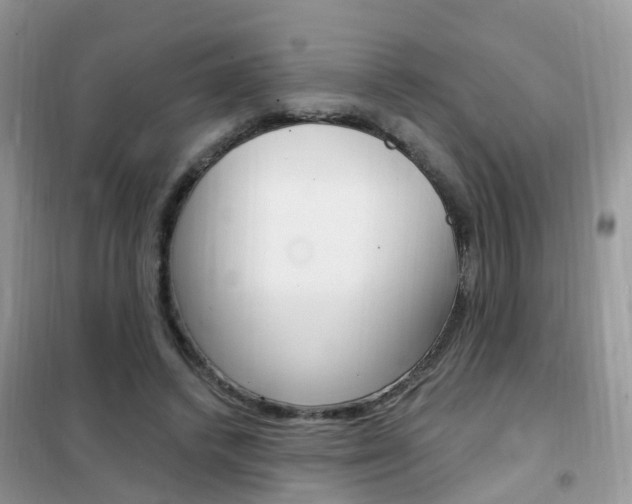 X0000102350448200808010939