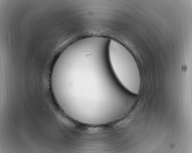 X0000102350450200808010939
