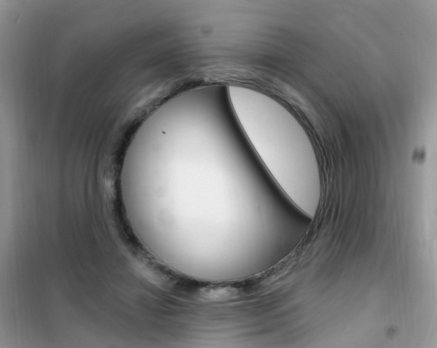 X0000102350452200808010939