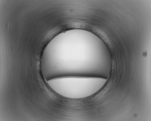 X0000102350453200808010939