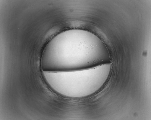 X0000102350454200808010939