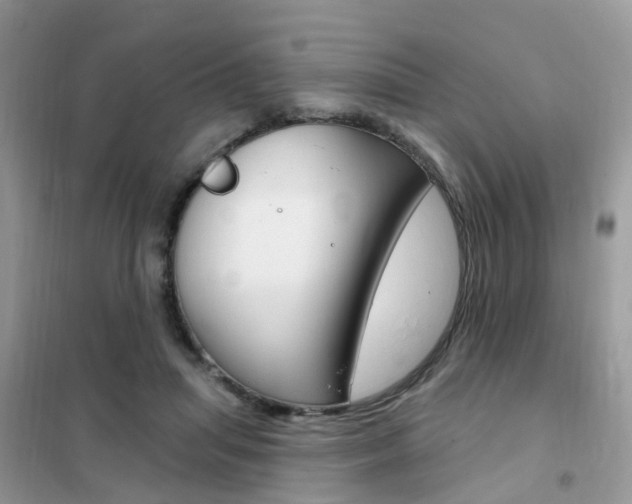 X0000102350455200808010939