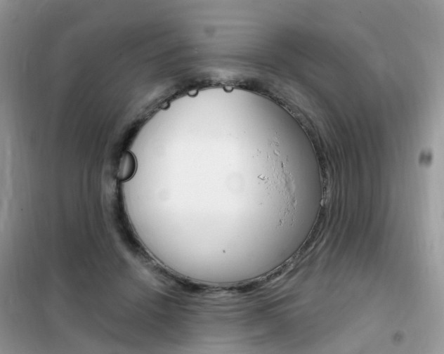 X0000102350456200808010939